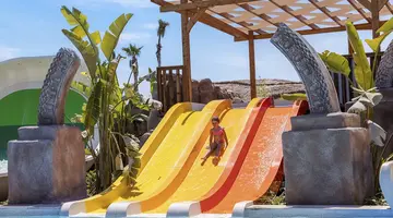 REGNUM CARYA