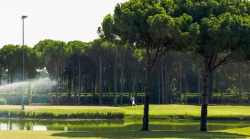 Regnum Carya