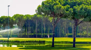 Regnum Carya