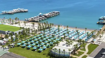 REGNUM CARYA