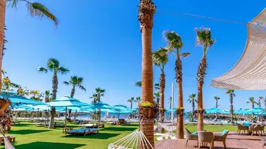 Regnum Carya