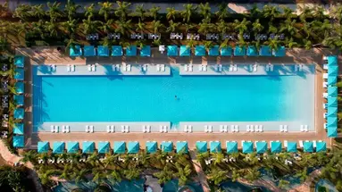 Regnum Carya