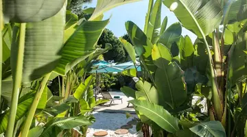Regnum Carya