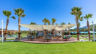 REGNUM CARYA