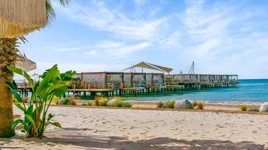 Regnum Carya