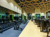 Regnum Carya