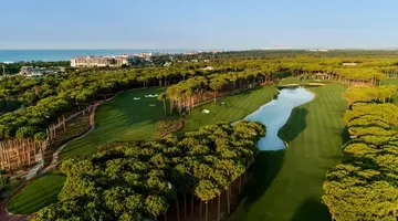 Regnum Carya