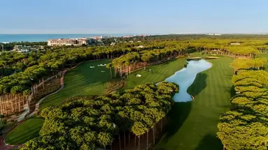 Regnum Carya
