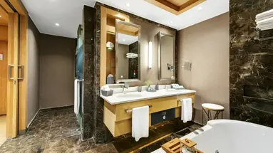 Regnum Carya