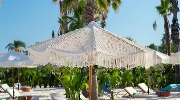 Regnum Carya
