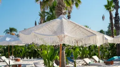 Regnum Carya