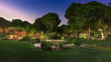 Regnum Carya