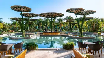 REGNUM CARYA