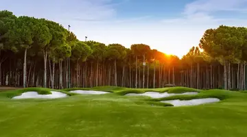 Regnum Carya