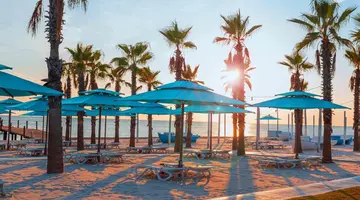 Regnum Carya