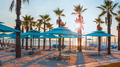 Regnum Carya