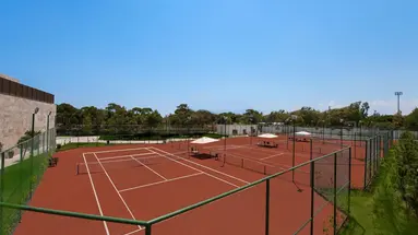 Regnum Carya