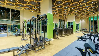 Regnum Carya