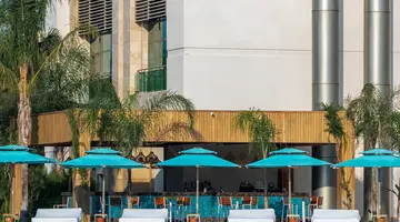 REGNUM CARYA