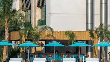 REGNUM CARYA