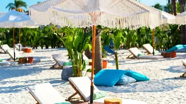 Regnum Carya
