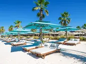 REGNUM CARYA
