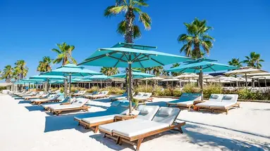 REGNUM CARYA