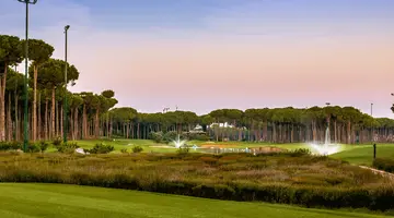 REGNUM CARYA