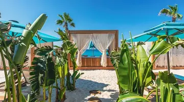 Regnum Carya