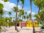 Rejs Dominikana, Barbados, Martynika, Antigua I Brytyjskie Wyspy Dziewicze Z La Romana - Msc Opera