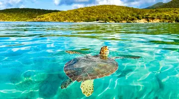 Rejs Dominikana, Barbados, Martynika, Antigua I Brytyjskie Wyspy Dziewicze Z La Romana - Msc Opera