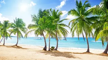 Rejs Dominikana, Barbados, Martynika, Antigua I Wyspy Dziewicze Z La Romana - Msc Opera