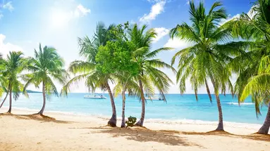 Rejs Dominikana, Barbados, Martynika, Antigua I Wyspy Dziewicze Z La Romana - Msc Opera