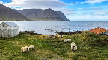 Rejs Islandia i Szkocja z Hamburga (I)- Costa Favolosa