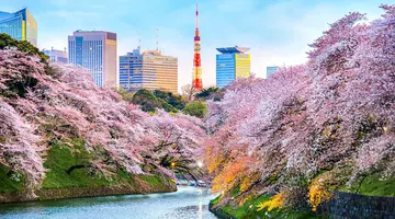 Rejs Japonia I Korea Południowa Z Tokio - Msc Bellissima