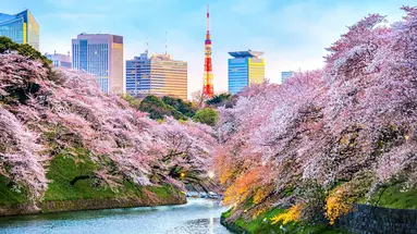 Rejs Japonia I Korea Południowa Z Tokio - Msc Bellissima