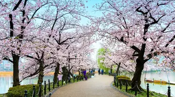 Rejs Japonia I Korea Południowa Z Tokio - Msc Bellissima