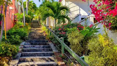 Rejs na Karaiby, Dominikana, St.Thomas, St.Kittis - Celebrity Cruises