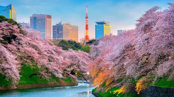 Rejs Platinum Japonia I Korea Z Tokio - Celebrity Millenium