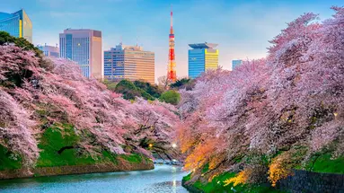 Rejs Platinum Japonia I Korea Z Tokio - Celebrity Millenium