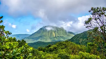 Rejs przez Dominikanę, Barbados, Guadelupę i Wyspy Dziewicze - MSC Cruises