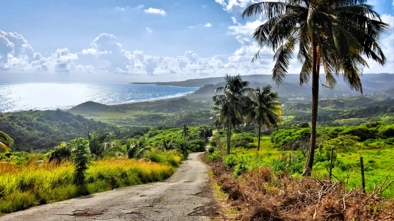 Rejs przez Dominikanę, Barbados, Guadelupę i Wyspy Dziewicze - MSC Cruises