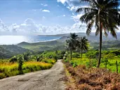 Rejs przez Dominikanę, Barbados, Guadelupę i Wyspy Dziewicze - MSC Cruises