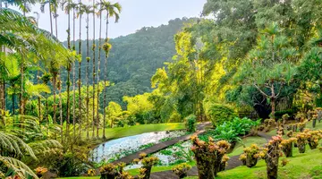 Rejs przez Dominikanę, Barbados, Guadelupę i Wyspy Dziewicze - MSC Cruises