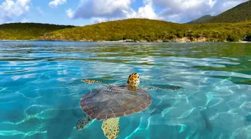 Rejs przez Dominikanę, Barbados, Guadelupę i Wyspy Dziewicze - MSC Cruises