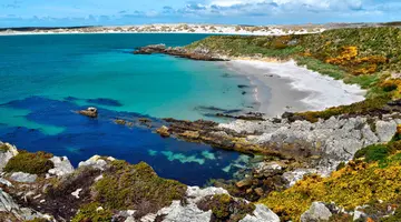 Rejs u wybrzeży Patagonii i Falklandów - Celebrity Cruises