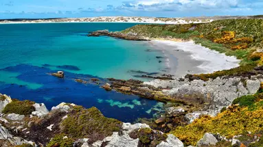 Rejs u wybrzeży Patagonii i Falklandów - Celebrity Cruises
