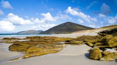 Rejs u wybrzeży Patagonii i Falklandów - Celebrity Cruises