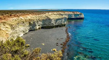 Rejs u wybrzeży Patagonii i Falklandów - Celebrity Cruises