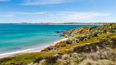 Rejs u wybrzeży Patagonii i Falklandów - Celebrity Cruises
